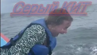 Катерина в Мексике. Тихий океан. Серый кит