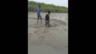 Sundar bon jangal January(1)