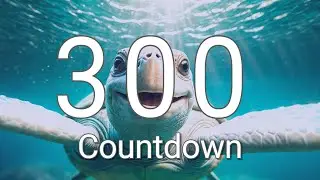 300 Seconds Timer with Relaxing Music and Alarm