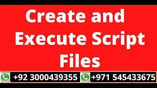 8.Create & Execute Script Files