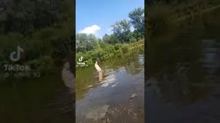 голая