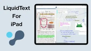 LiquidText for the iPad (2024) | Full Review