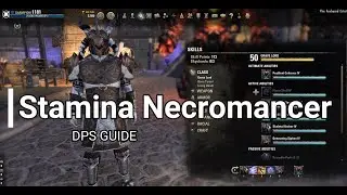 ESO - Stamina Necromancer PvE Guide - 107k DPS - Static Rotations - Scalebreaker DLC