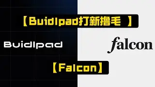 【Buidlpad打新撸毛 -Falcon】