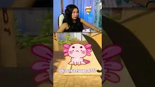 ТИПИЧНОЕ ПАТИ В 