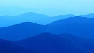Мышьнобыль