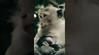 Surdam pada Sarudung Erdoah Doah (1980)