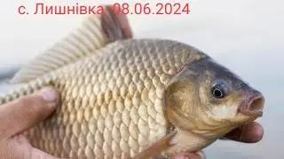 Риболовля в селі Лишнівка (Волинь) з ночівлею.