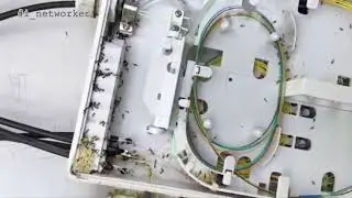 Что в муфте?