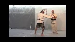 Aikido: 9 Course Leading Sankyo