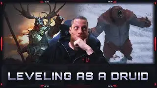 [DIABLO IV | D4] – MY LEVELING EXPERIENCE AS A DRUID!