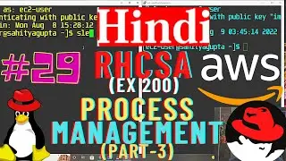 Process Management in Linux PART-3 | RHCSA| Part-29 | Practice in RHEL8 on AWS| Hindi | System Admin