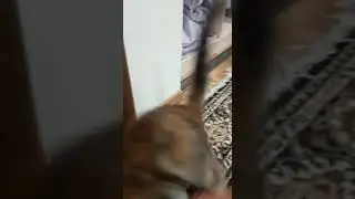 НАКАЗАНА!