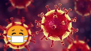 МЕРЫ БОРЬБЫ С КОРОНАВИРУСОМ😷