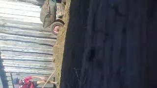 Вот как нодо убирать гавно
