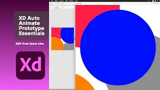 XD Auto-Animate Prototype Essential Trainings