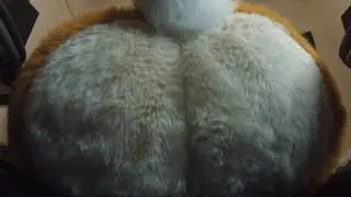 Macro Deer Buttcrush (GTS SFX Practice)
