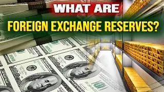 What are Foreign Exchange Reserves? | ANA LENS