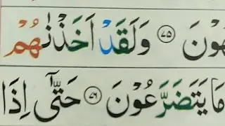 Live Quran Class