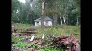 Оргтруд