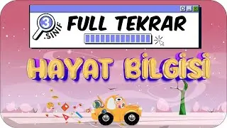 3. Sınıf Hayat Bilgisi 1. Dönem Full Tekrar ♻ 
