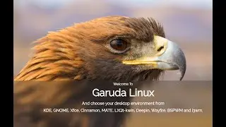 Garuda KDE Linux Ultimate System Setup & Product Review