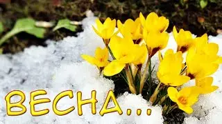 1 марта - праздник прихода ВЕСНЫ!