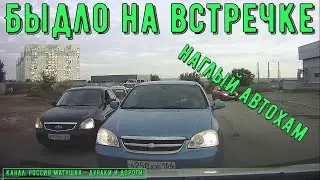 Dangerous driving and conflicts on the road 
