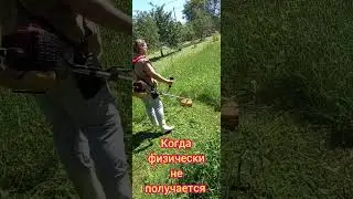 ЖИЗНЬ В ДЕРЕВНЕ