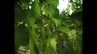 Escape From Tarkov 2021 04 06   21 00 37 03