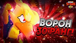 АПНУЛ ВОРОНА НА 30 РАНГ🦅 БЕЗ ПОРАЖЕНИЙ С 800 КУБКОВ🥱