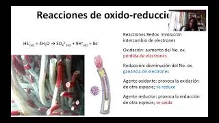 U6 Reacciones Oxido Reducción Parte 1