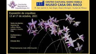 Exposición de orquídeas CDMX 13-17 OCTUBRE 2021.!! TE ESPERAMOS!!