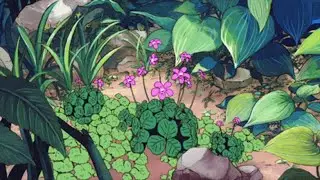 27. meu amor sempre vai querer ser sua floresta