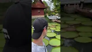 #phuket