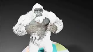 Mo-KONG🦍
