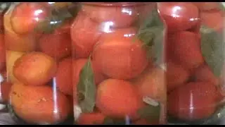 ЗАСОЛКА ПОМИДОРОВ НА ЗИМУ