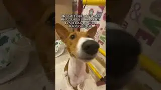 рил..