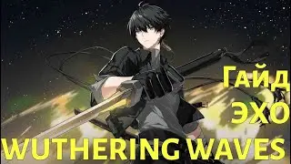 Wuthering waves самый полный гайд по ЭХО (артефактам)