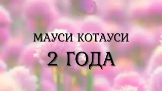 Мауси Котауси 2 года!