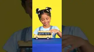 Wheels on the Bus 🚍