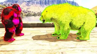 Monkey lvl 9 Million VS Dire Bear lvl 5 Million