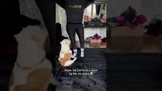 #dancingdog