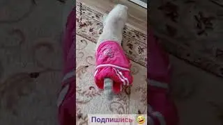 ситуация 🤣