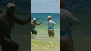 Tarpon, bonefish, and permit. Does it get better? #fishingshorts #flyfishing #fishing #beachfishing