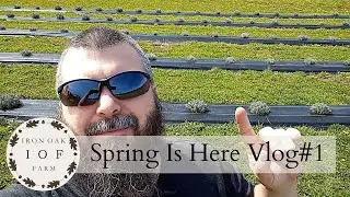 It's Spring Time! Vlog #1