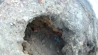 Эвакуация МТЗ