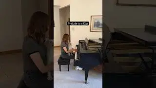 Prelude to a Kiss 🤍 #jazz #jazzpiano #dukeellington #dogsofyoutube #soothing