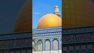 MashaAllah ❤️ Jumma Mubarak #shorts #jummamubarak #mashallah #palestine #subscribe #jerusalem
