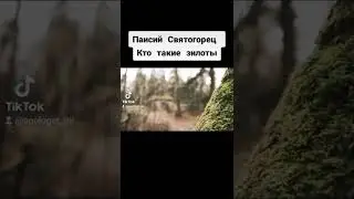 Паисий Святогорец, кто такие зилоты